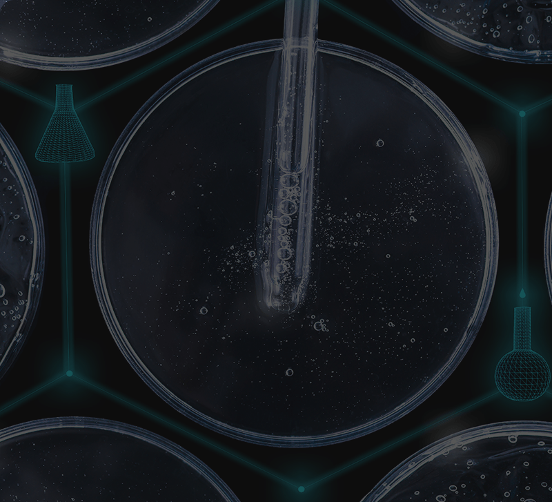 Seções Temáticas Seções Temáticas