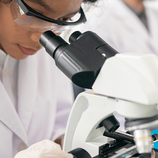 Publicações Publicações